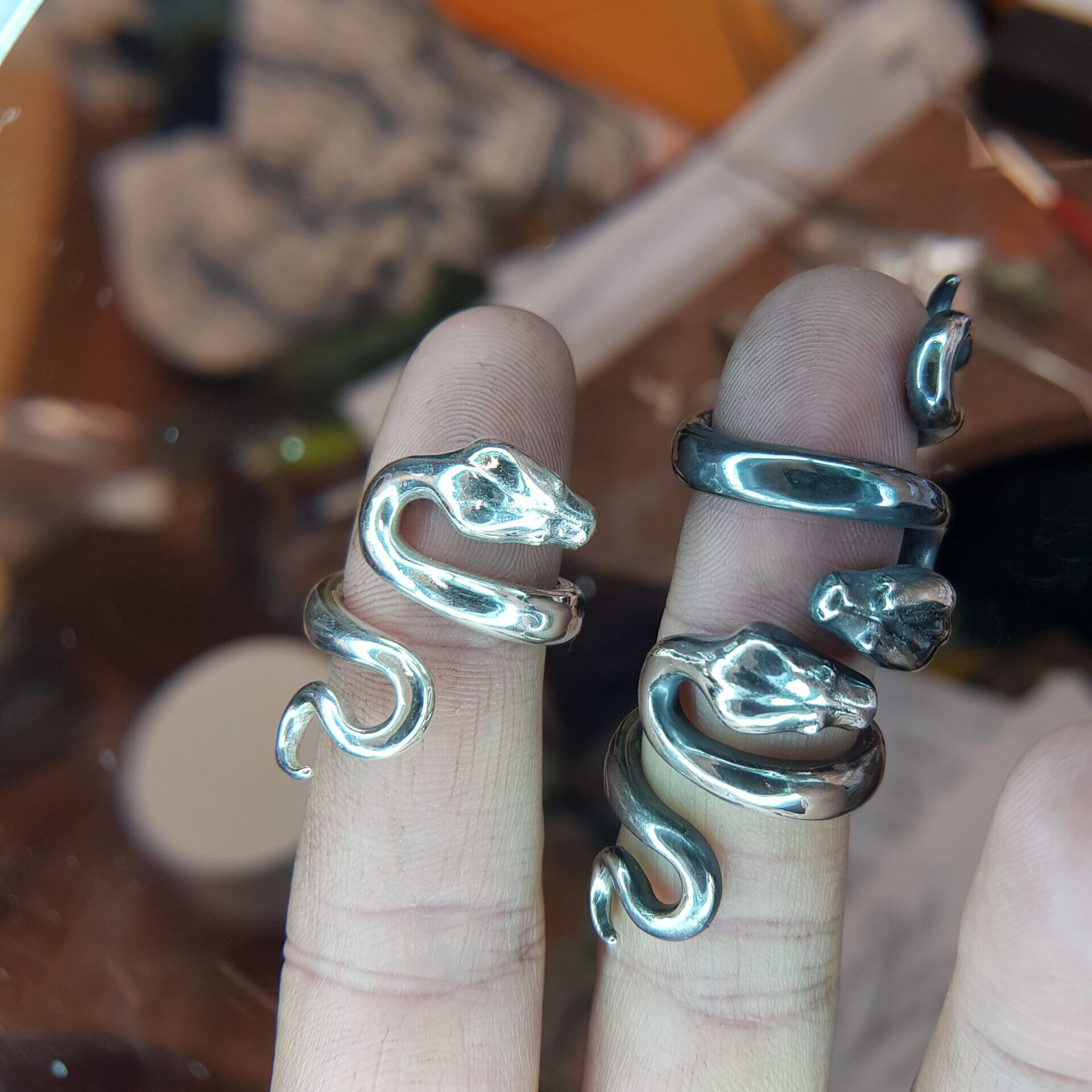 Boa Constrictor Snake - Image 4