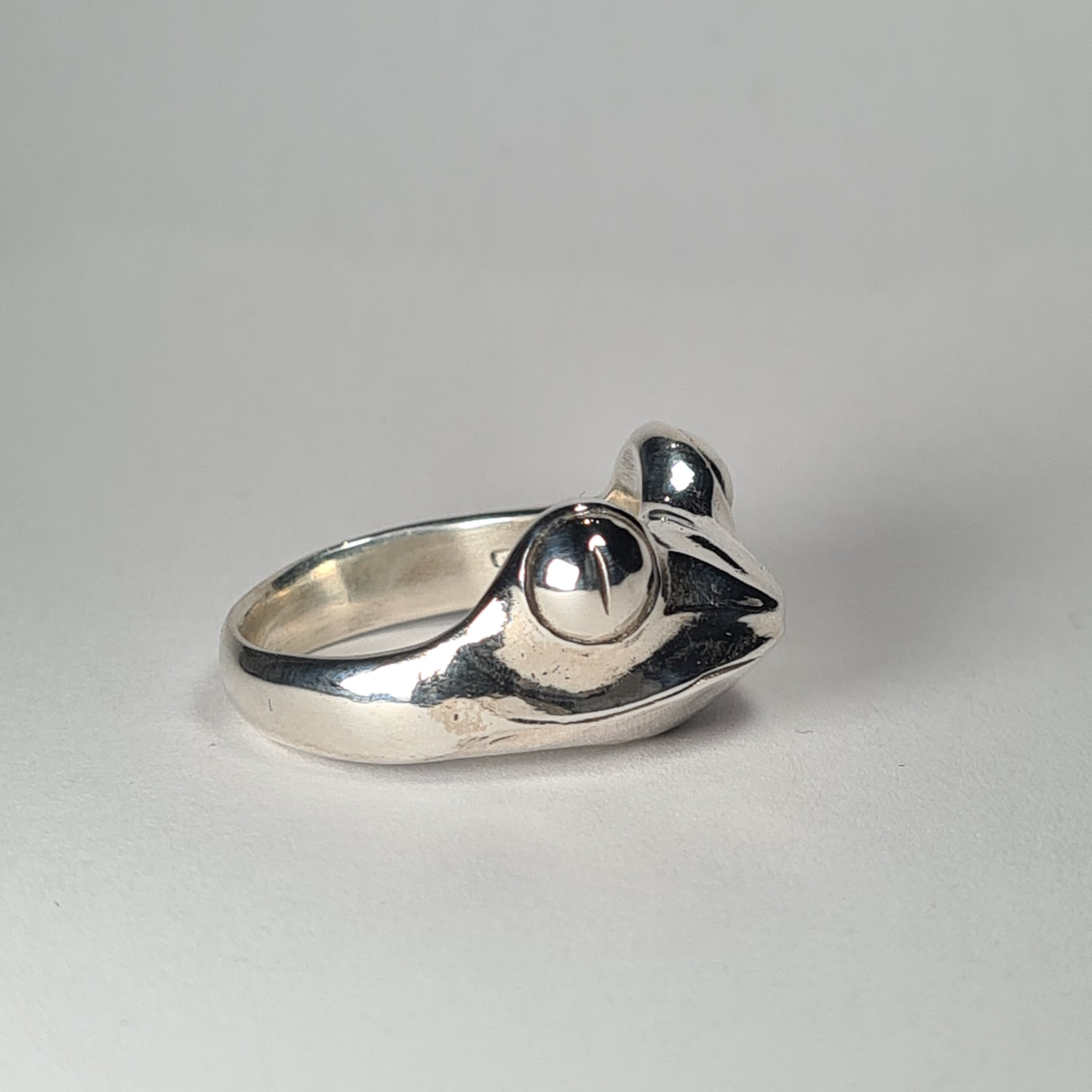 Tree Frog - Image 6