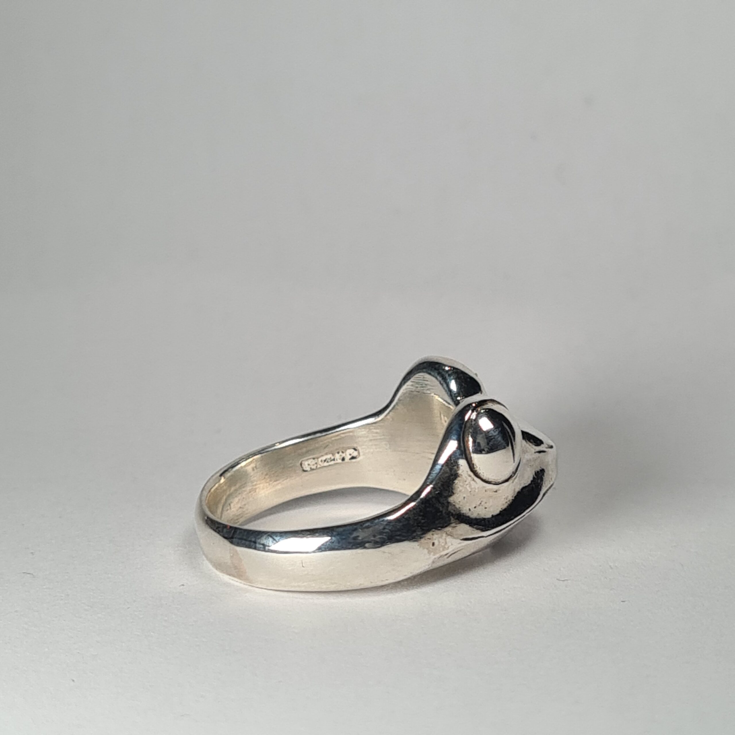 Tree Frog - Image 5