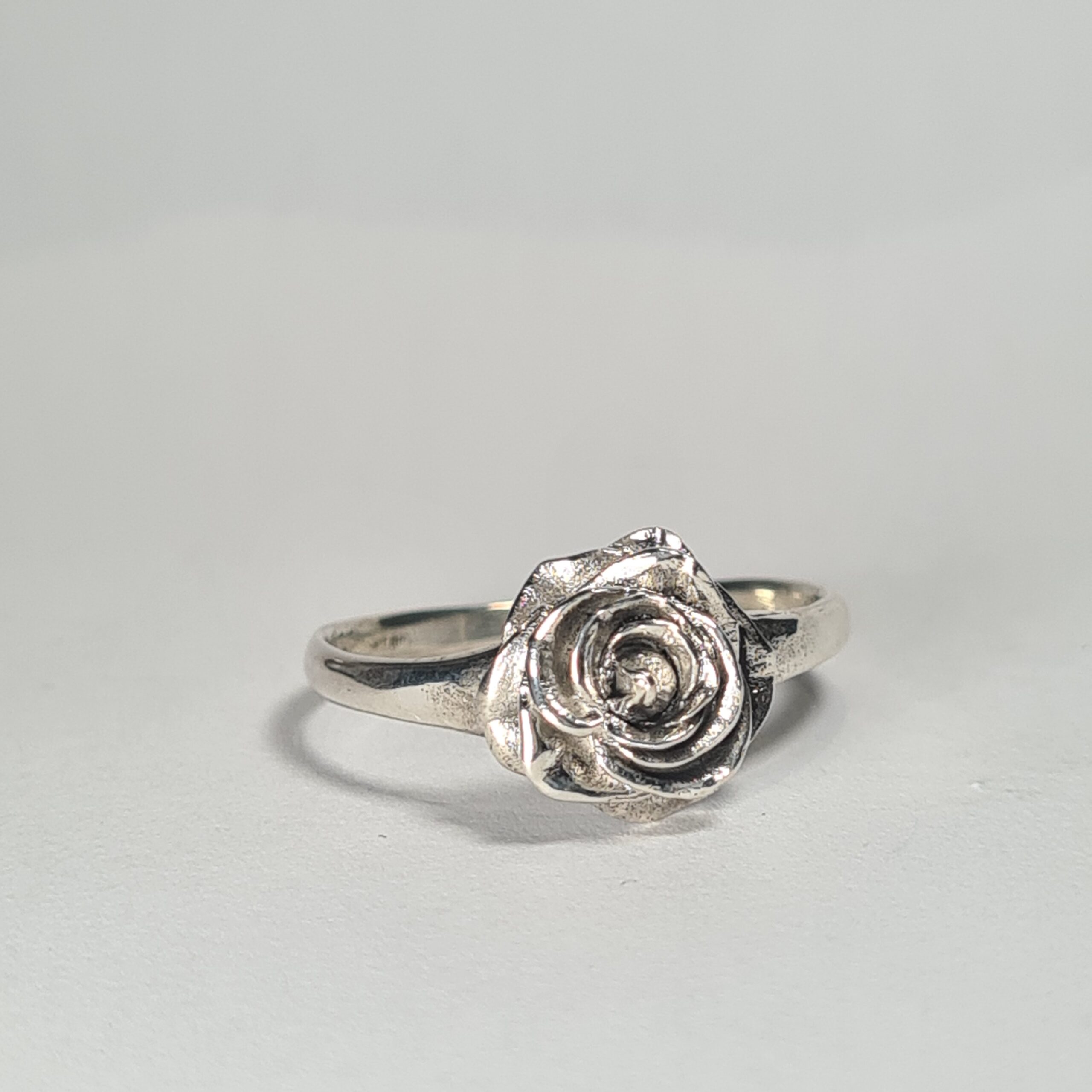 Hybrid Tea Rose - Image 4