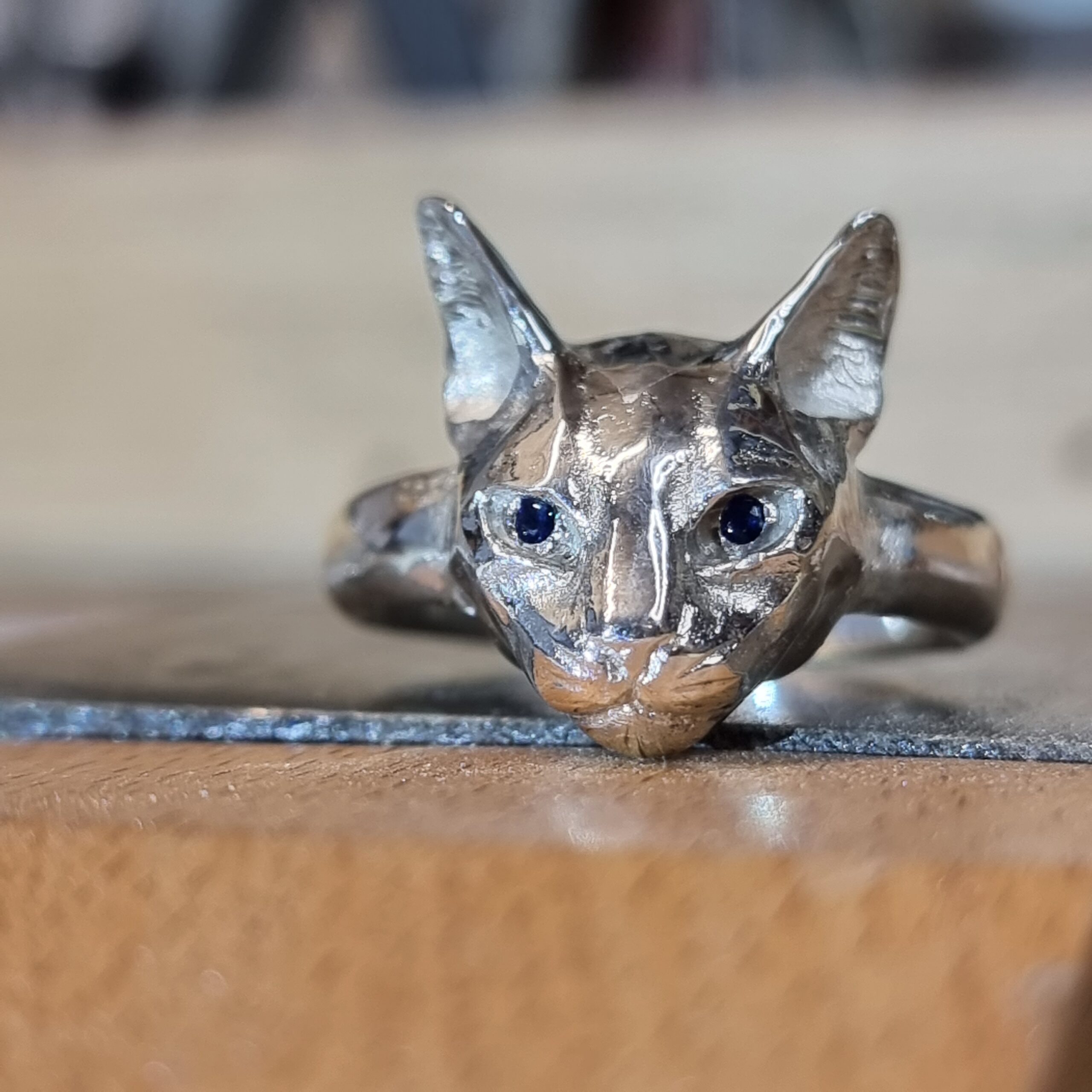 Abyssinian Cat - Image 4