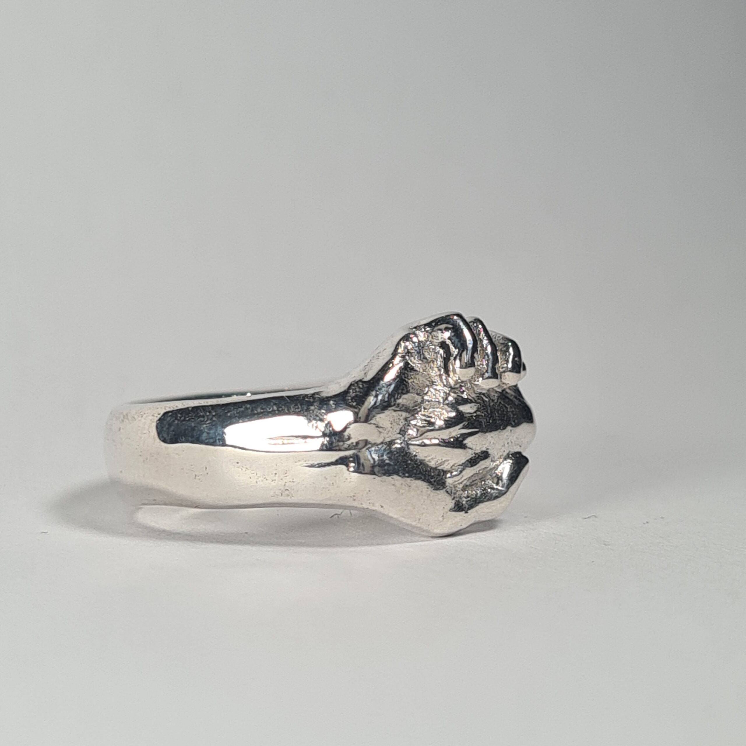 Dog Paw In Hand - Image 7