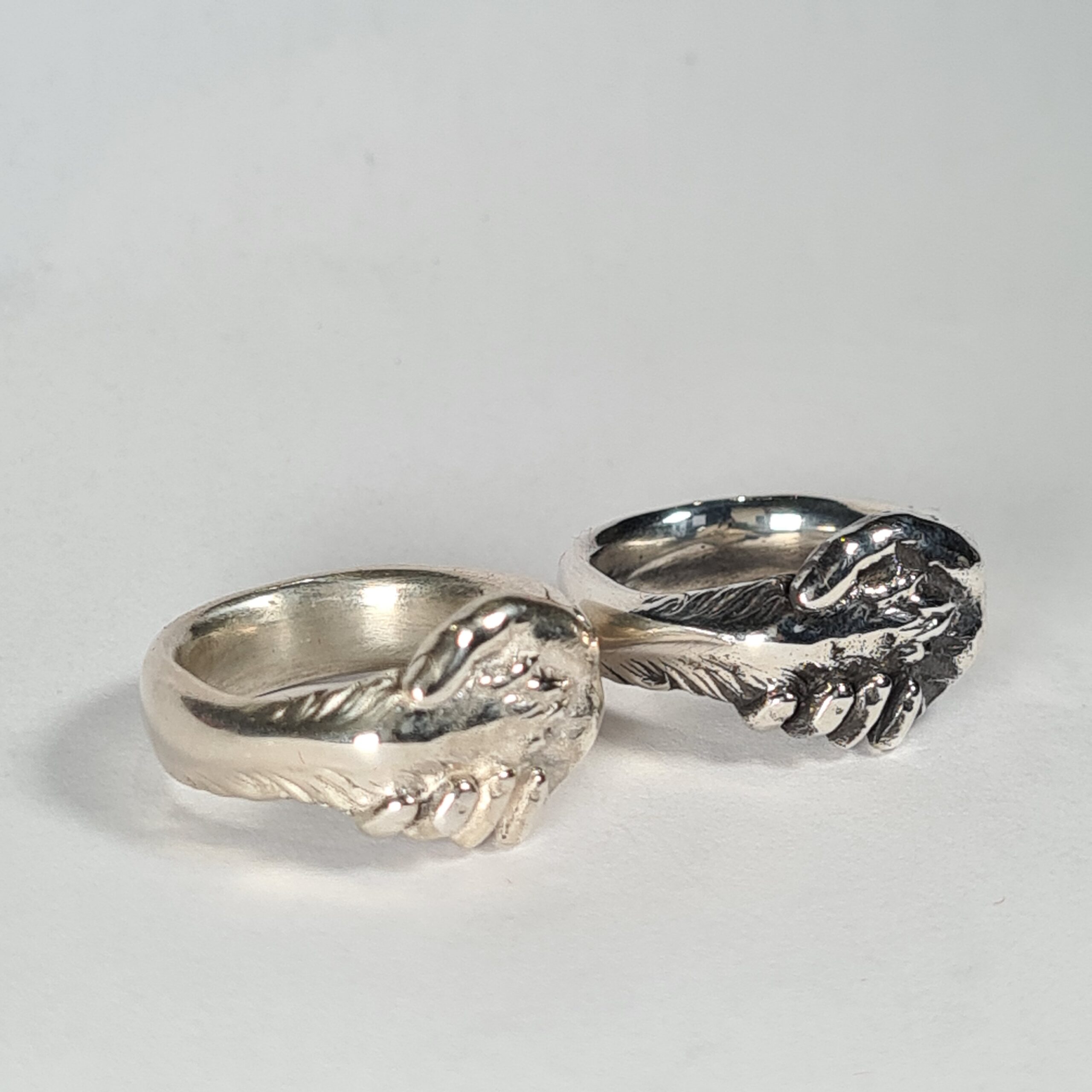Dog Paw In Hand - Image 3