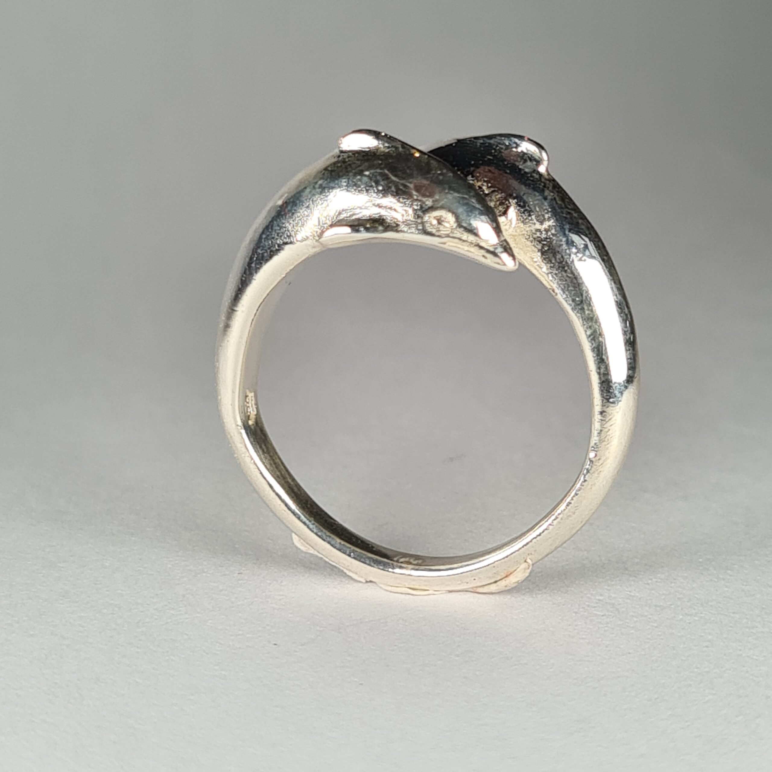 Dolphin - Image 3