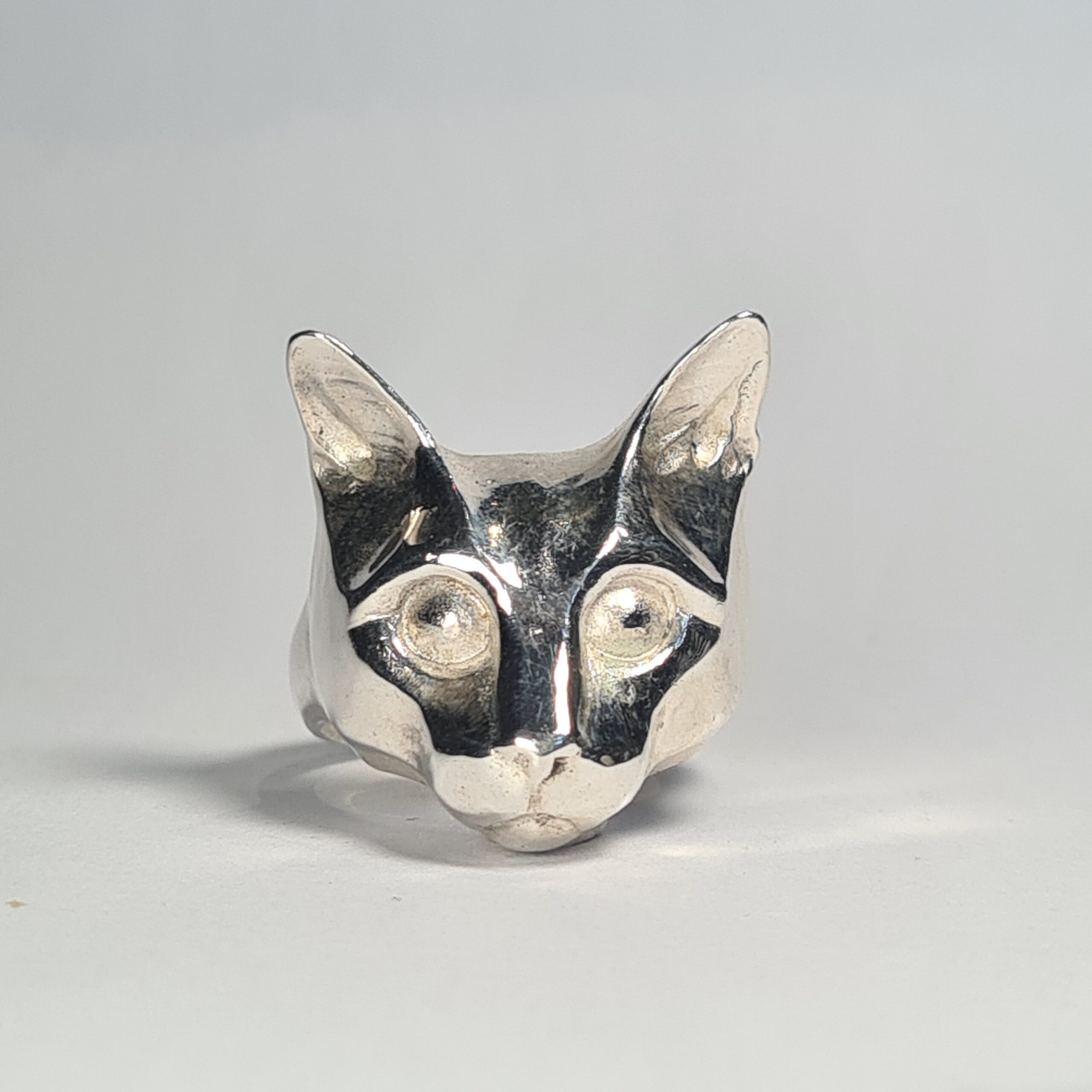 Russian Blue Cat - Image 3