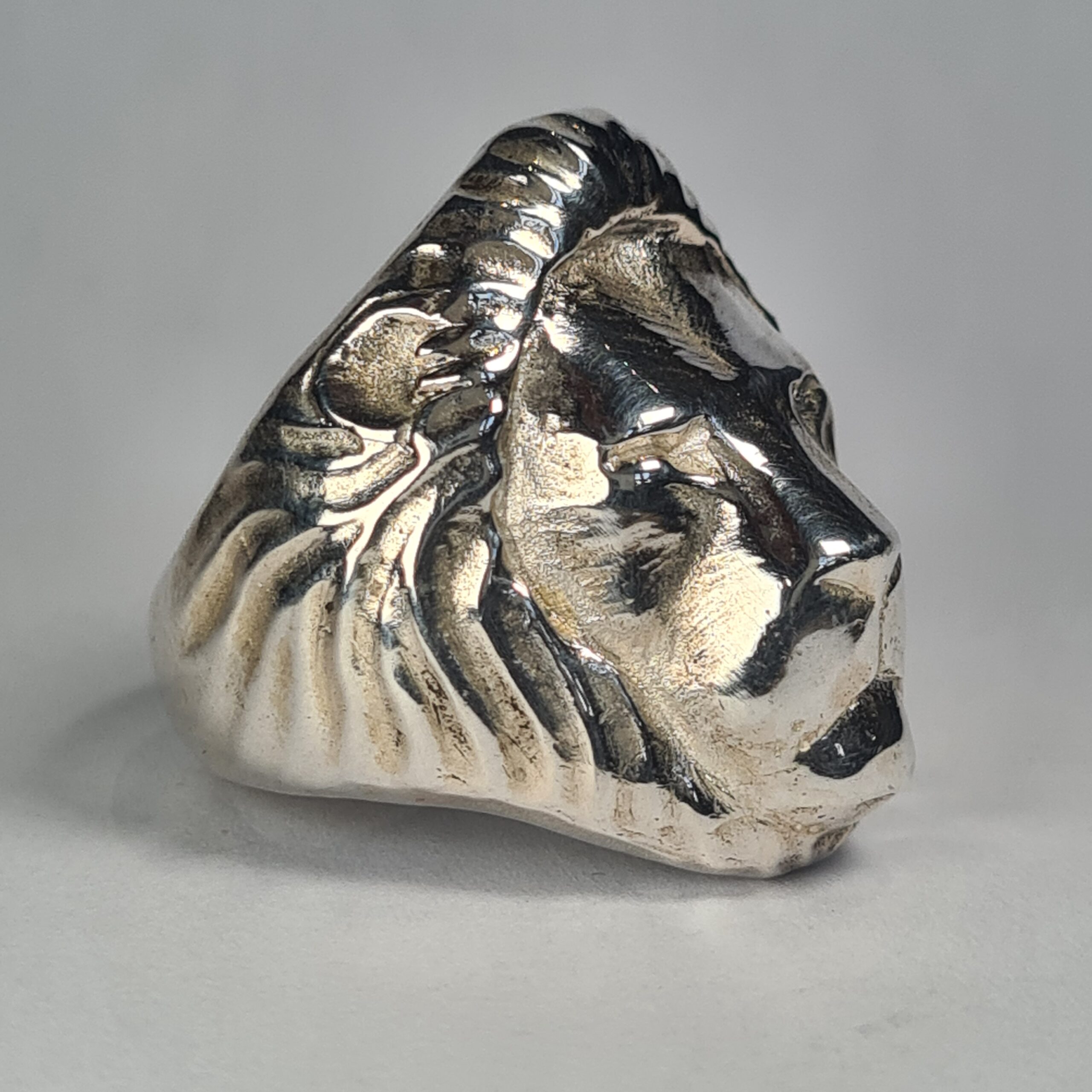 Lion - Image 2