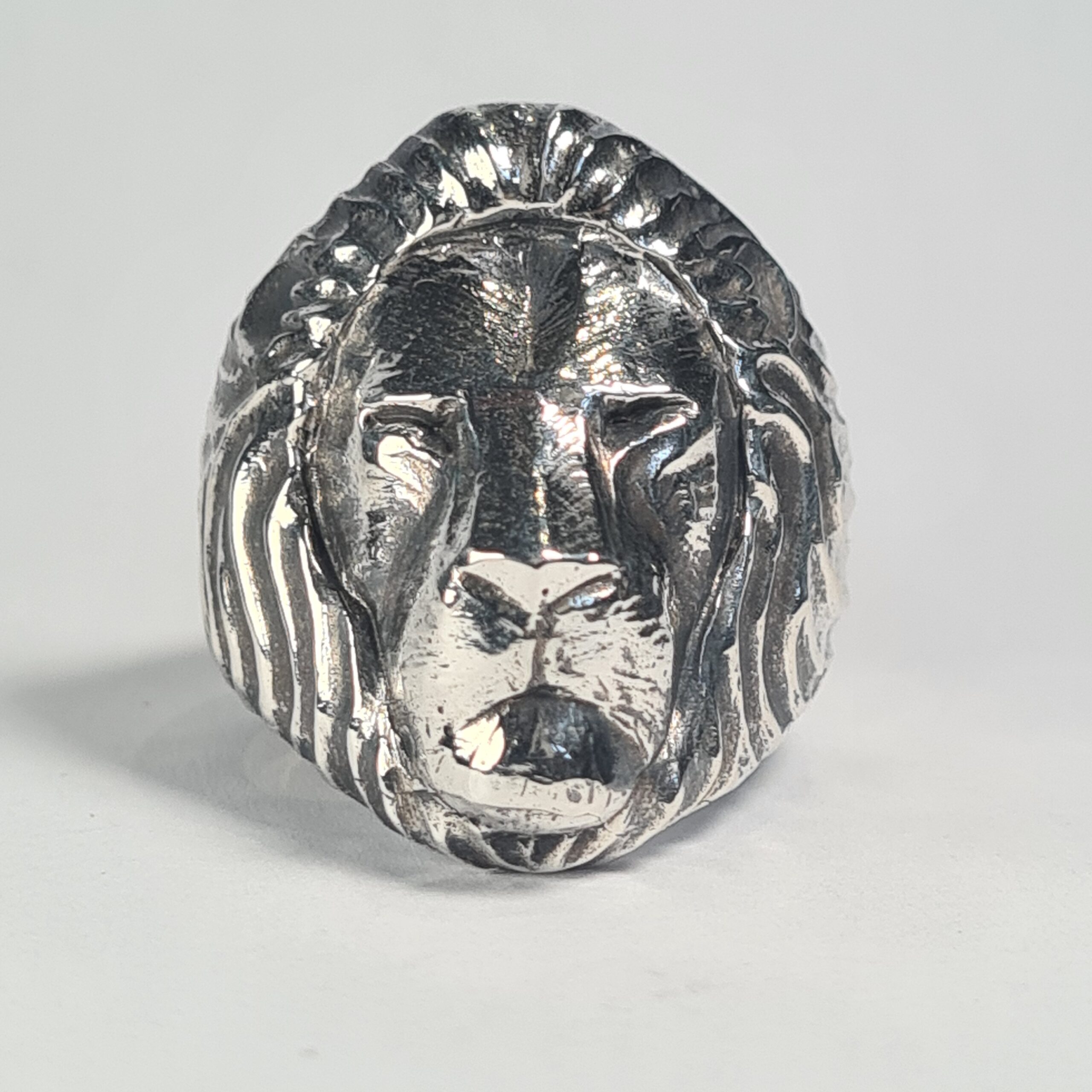 Lion - Image 7