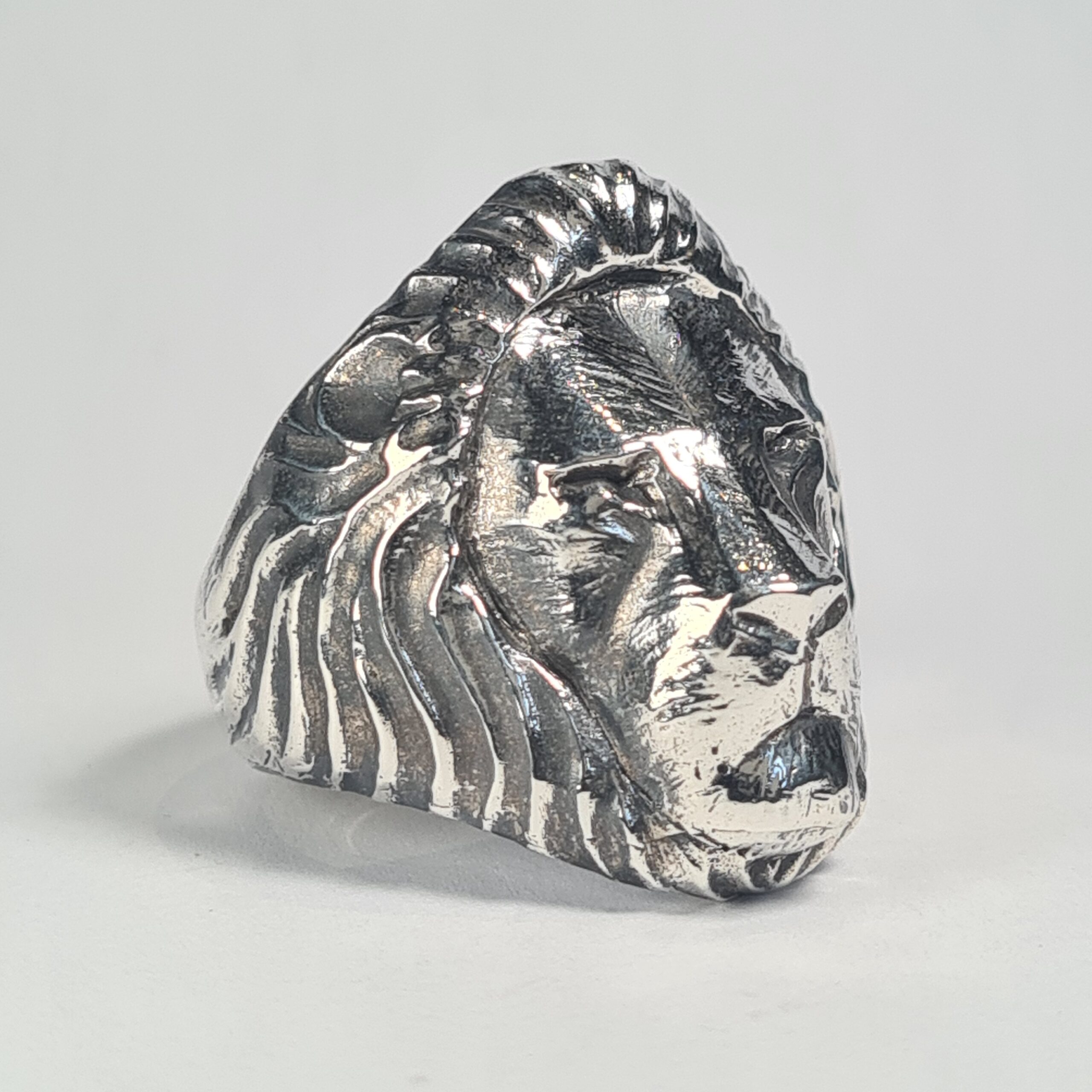Lion - Image 6