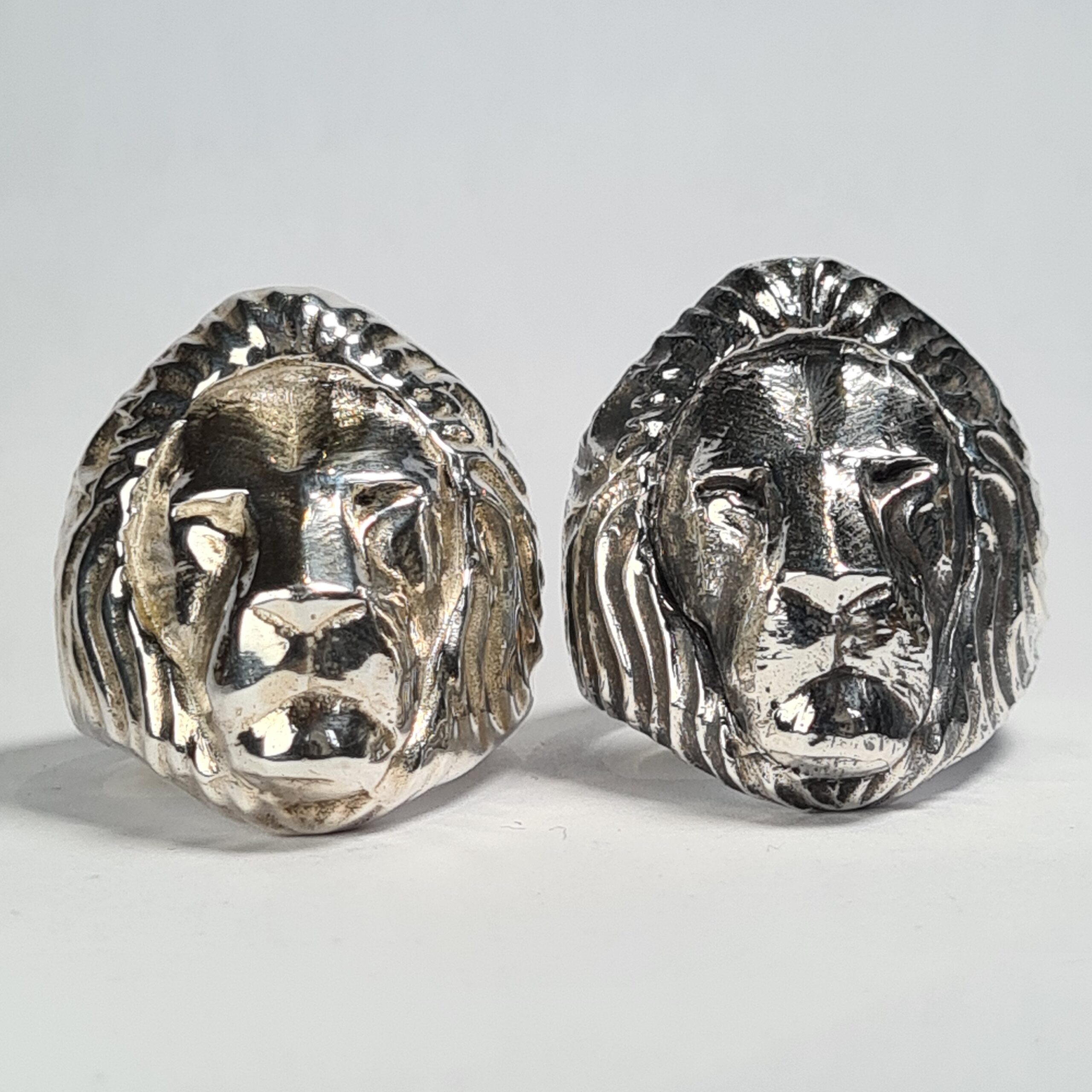 Lion - Image 5