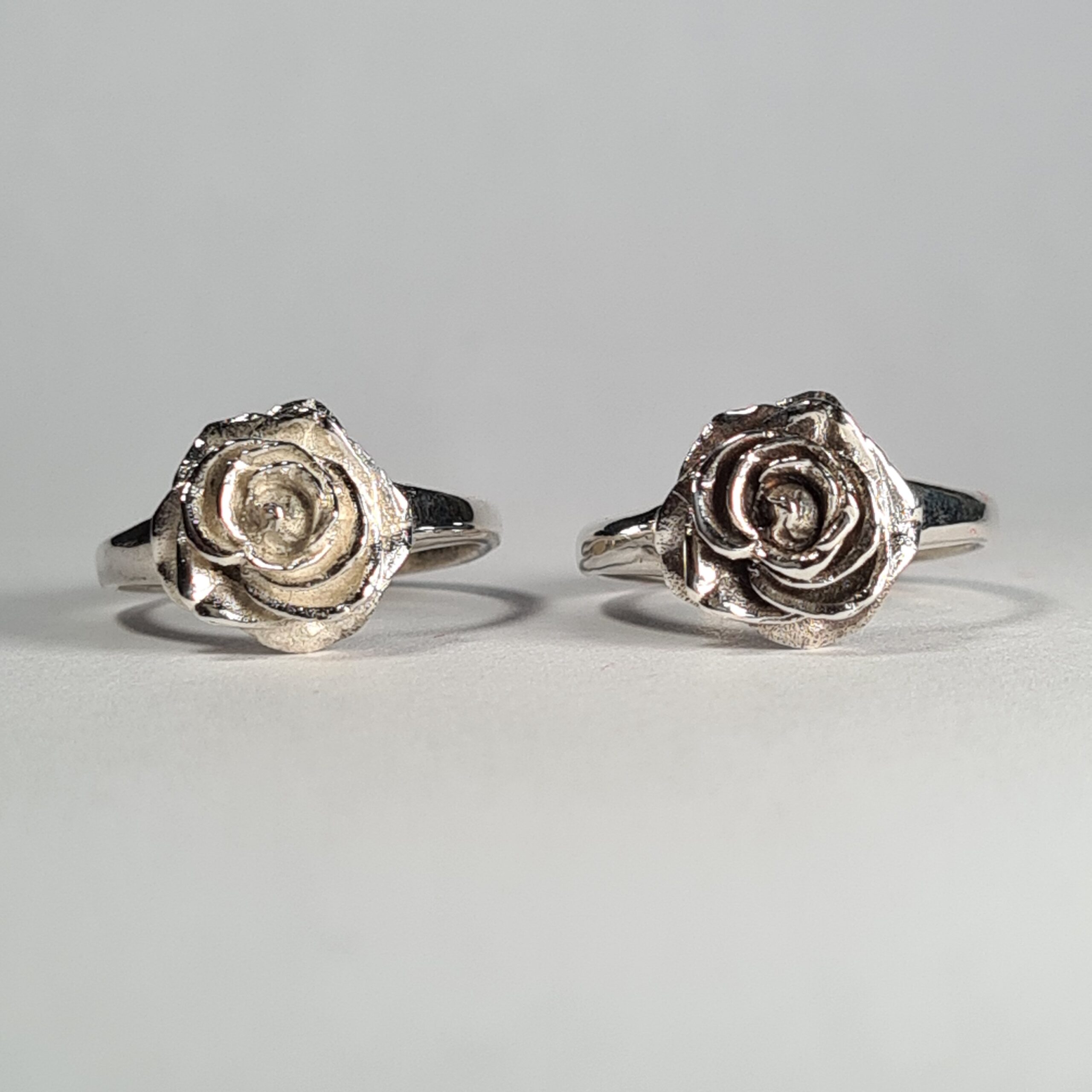 Hybrid Tea Rose - Image 5