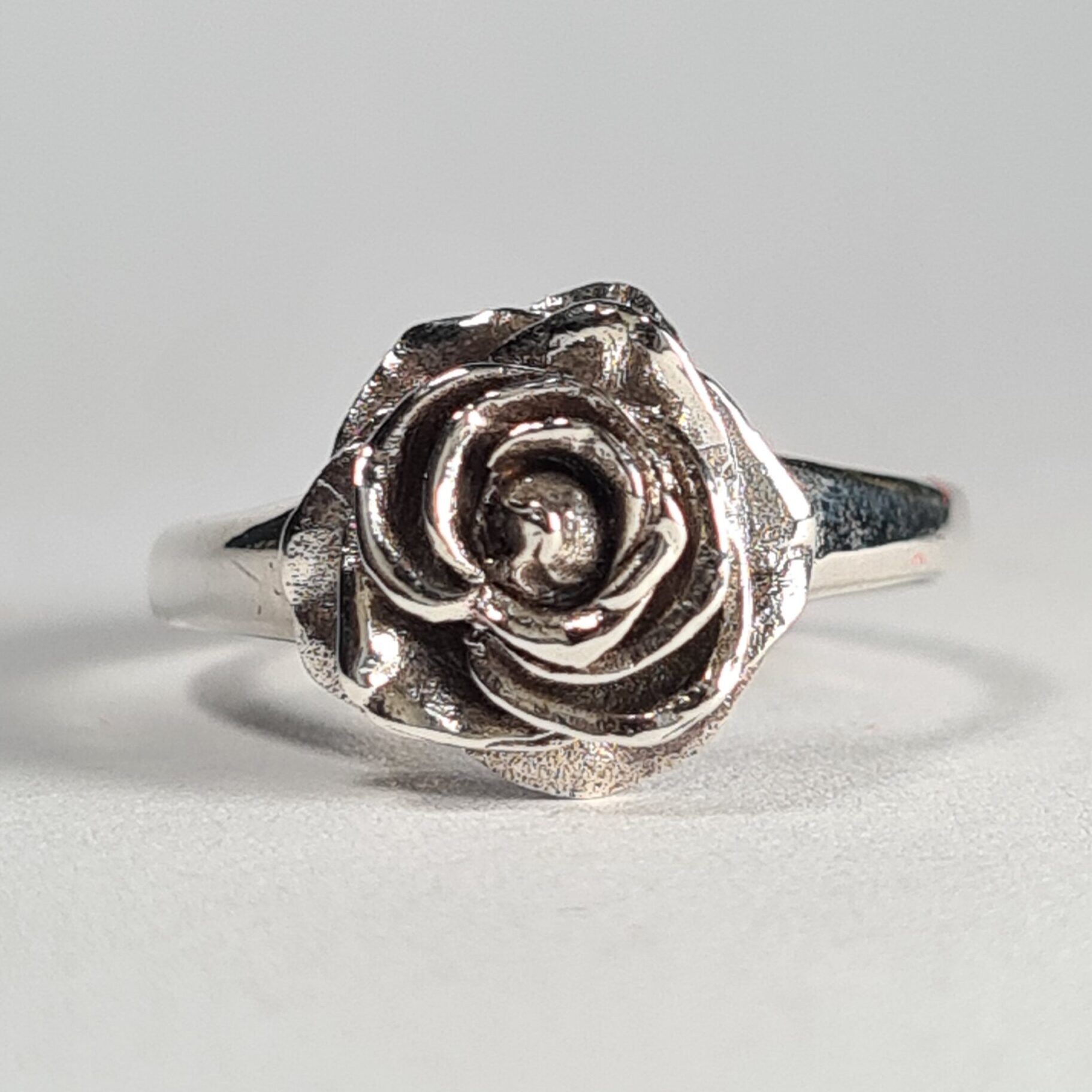 Hybrid Tea Rose