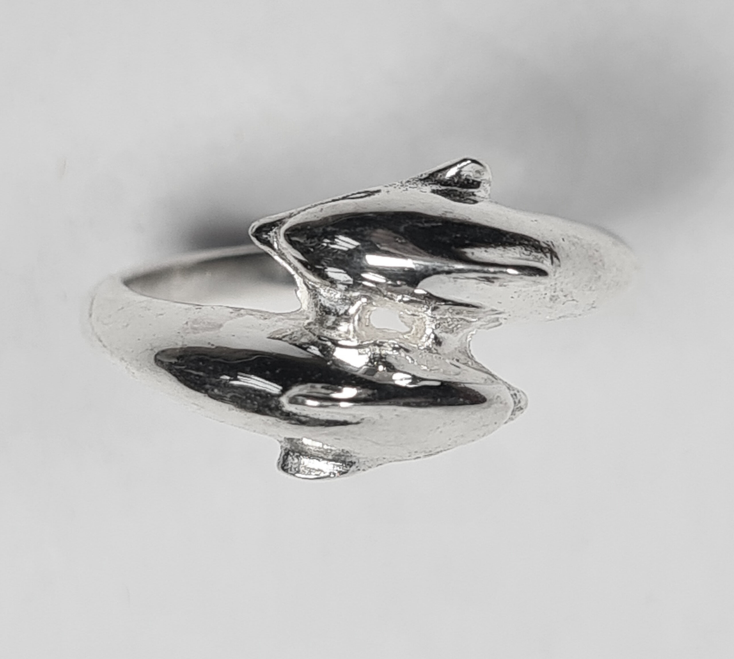 Dolphin - Image 2