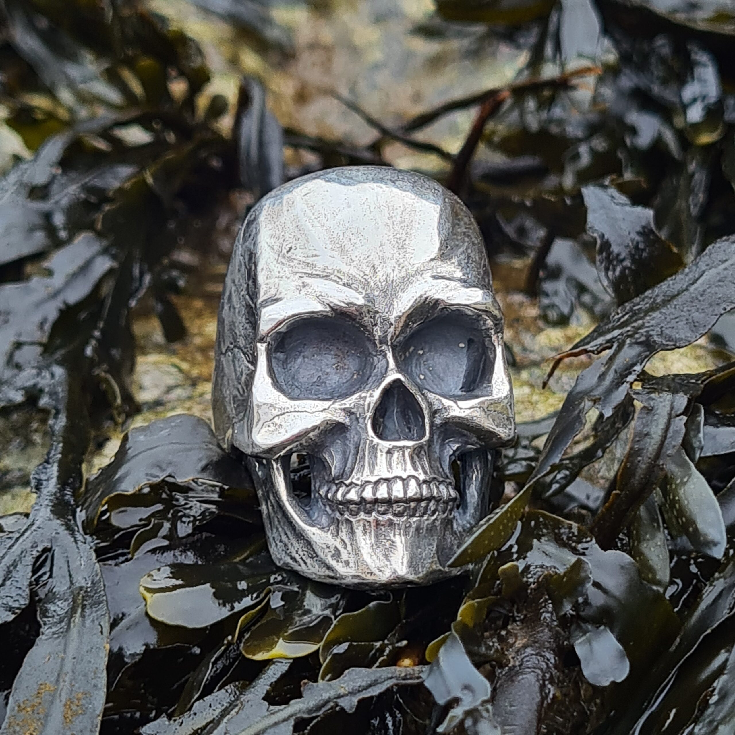 Massive Skull - Image 4