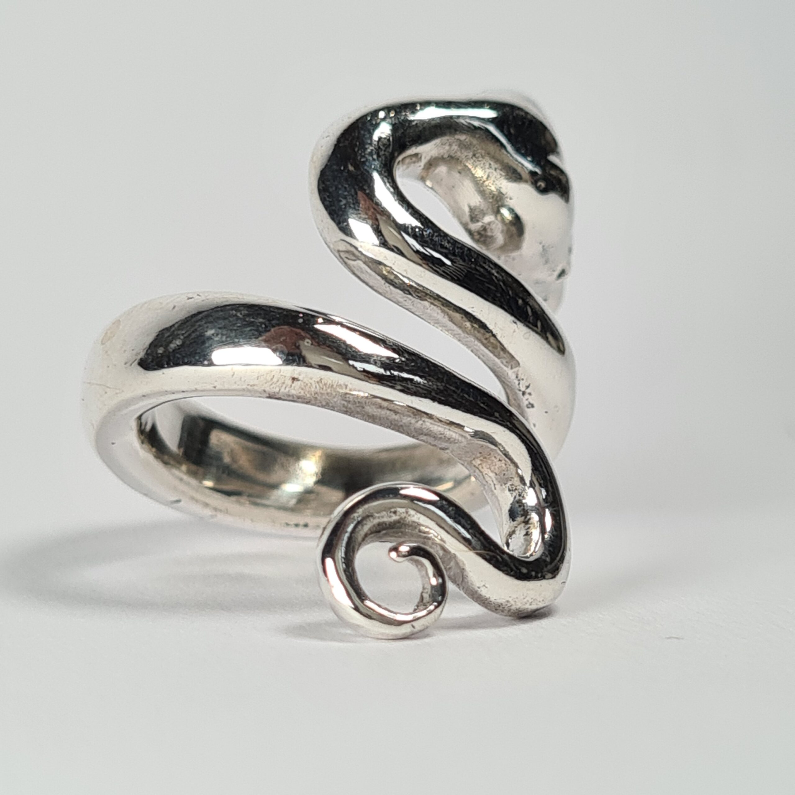 Boa Constrictor Snake - Image 7