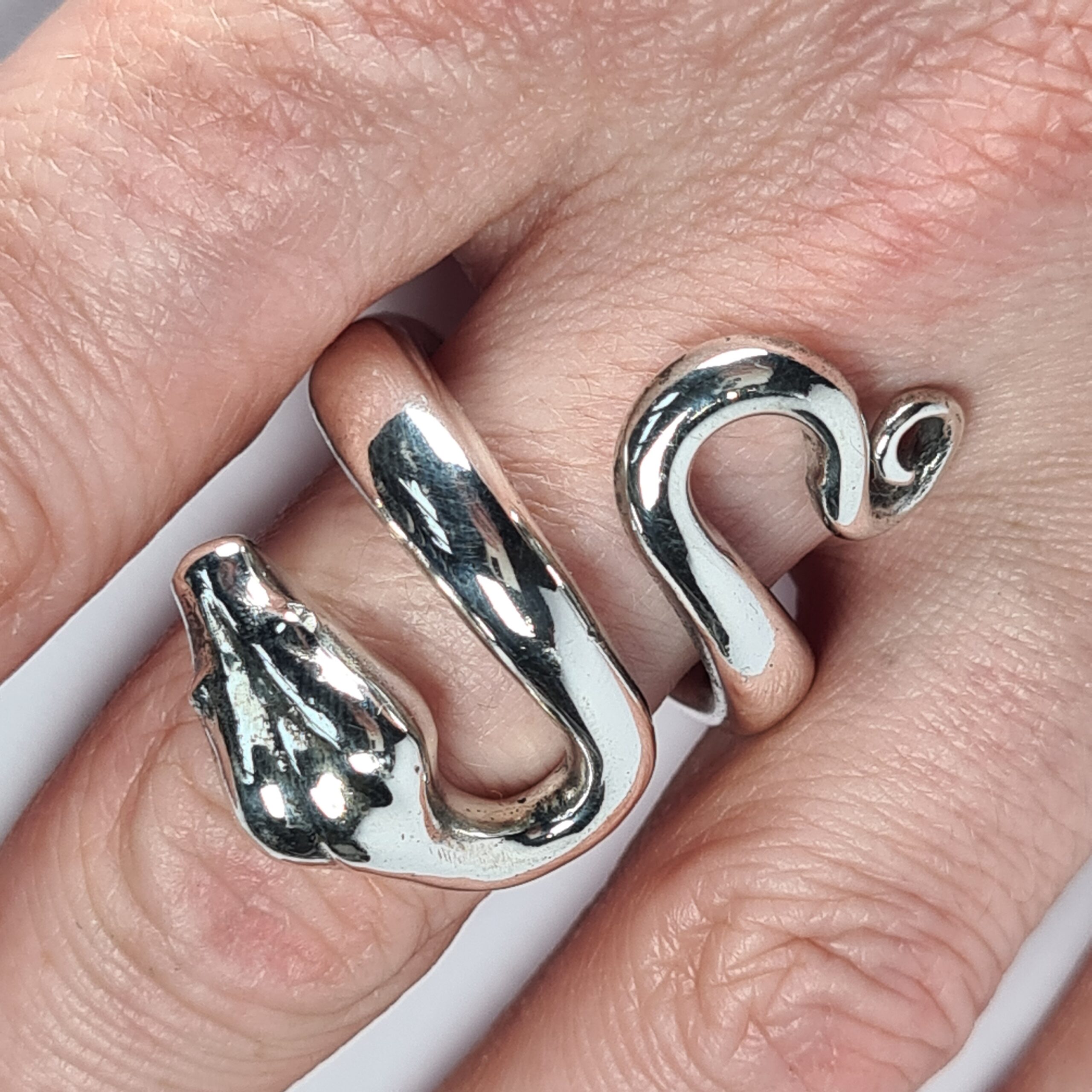 Boa Constrictor Snake - Image 2