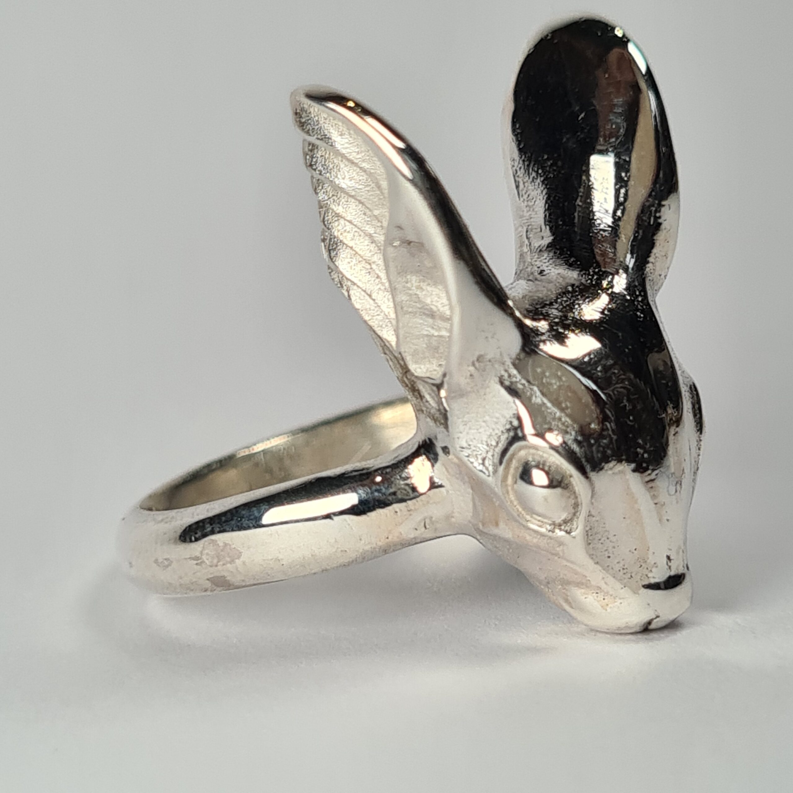 Squirrel - Image 4
