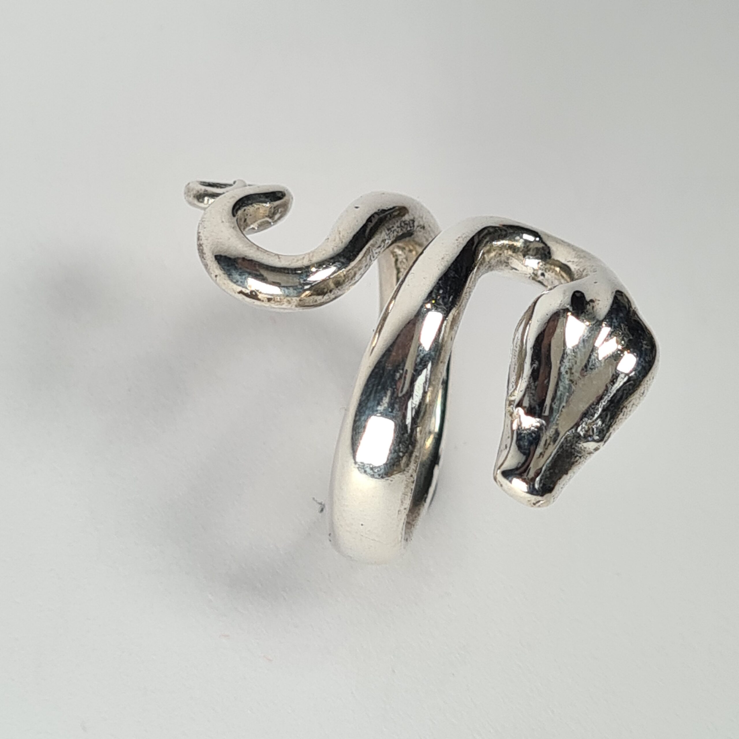 Boa Constrictor Snake - Image 6