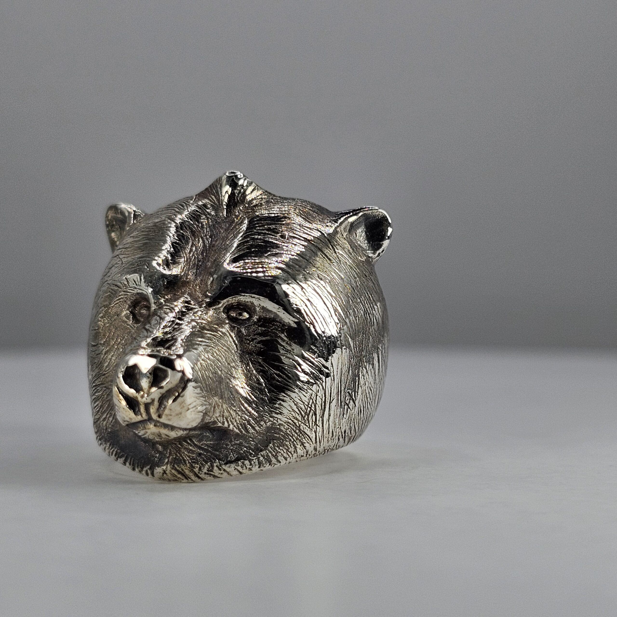 Bear - Image 4