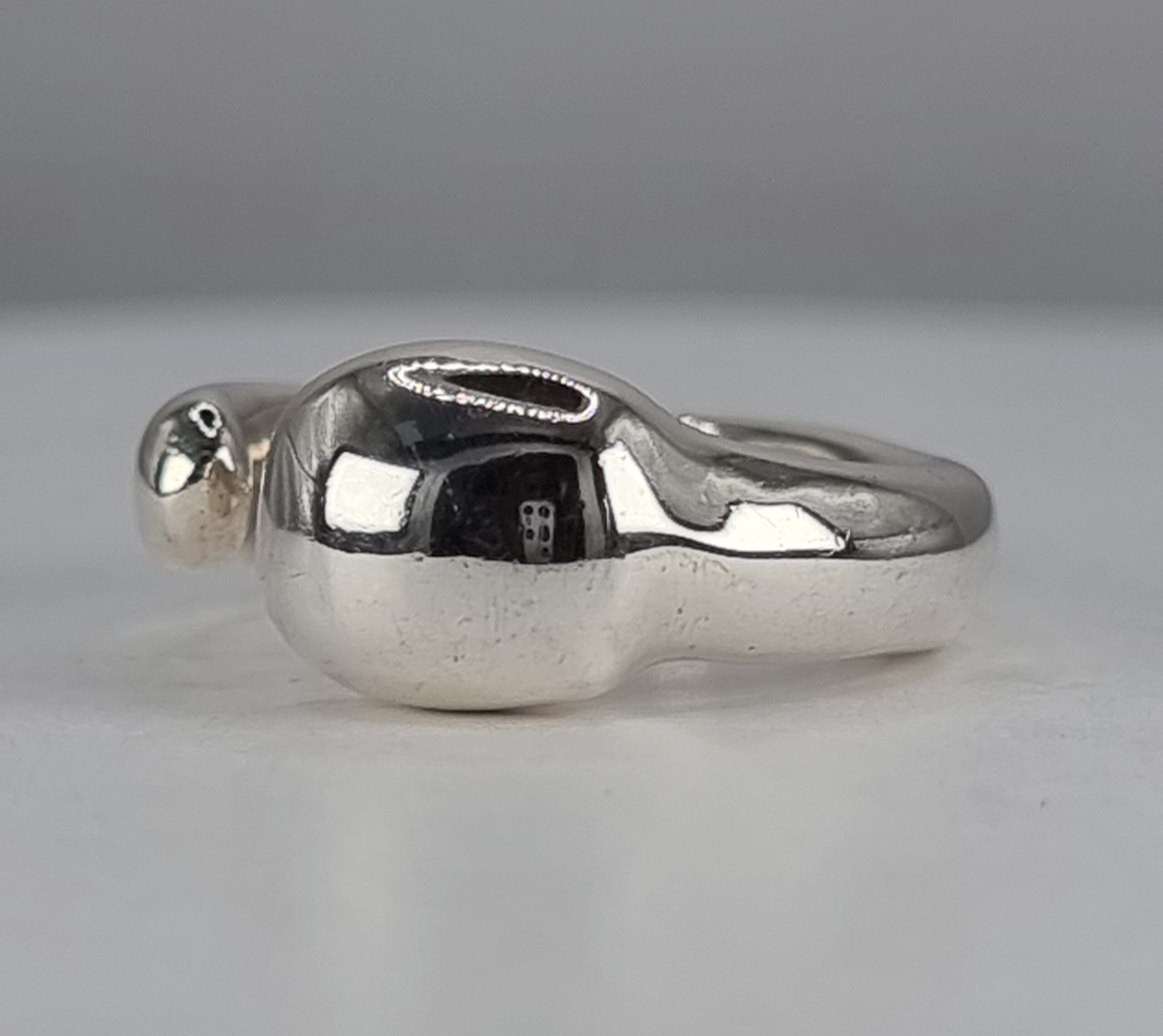 Silverstone Ring - Image 2