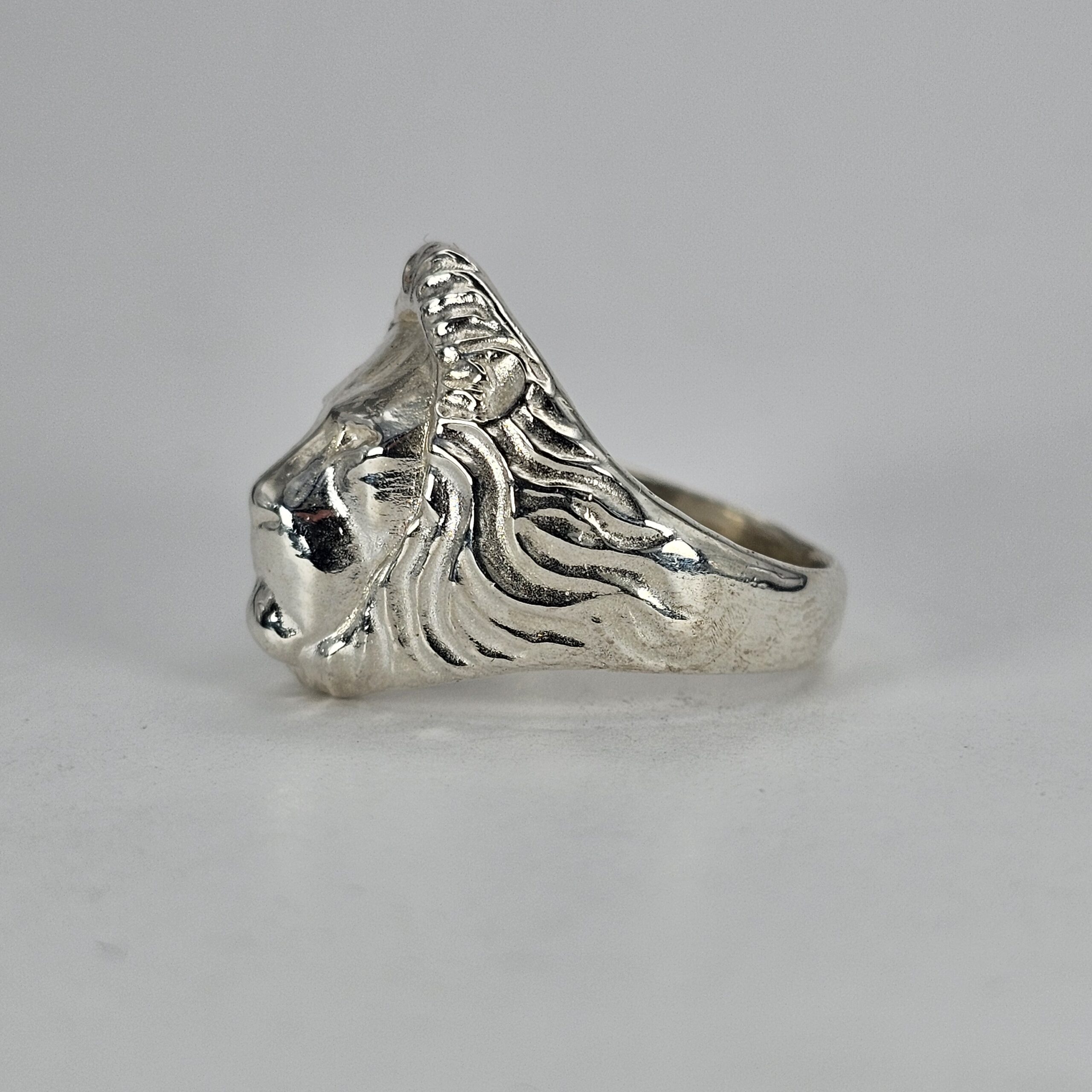 Mini Lion - Image 5
