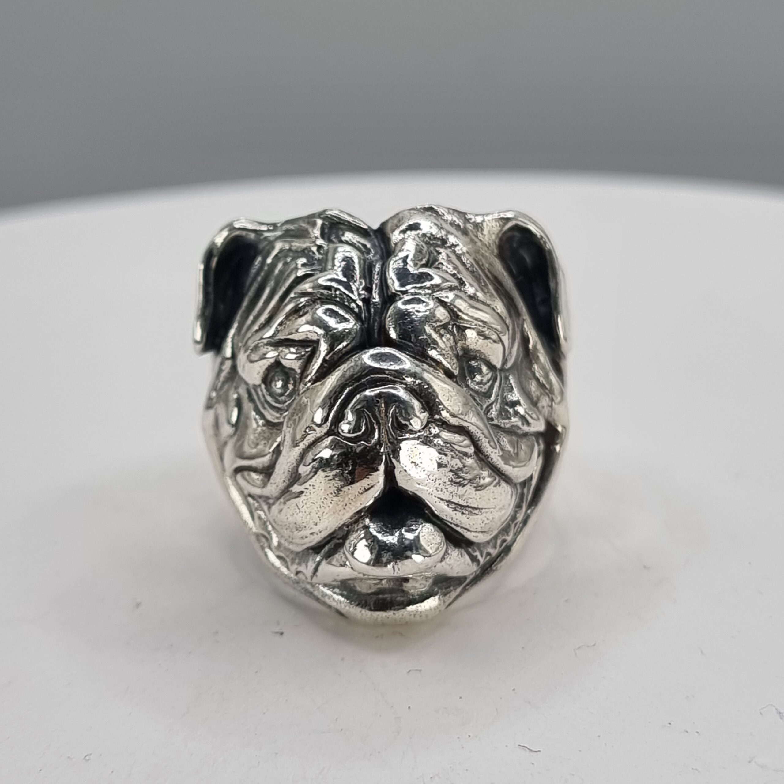 Albert the English Bulldog - Image 4