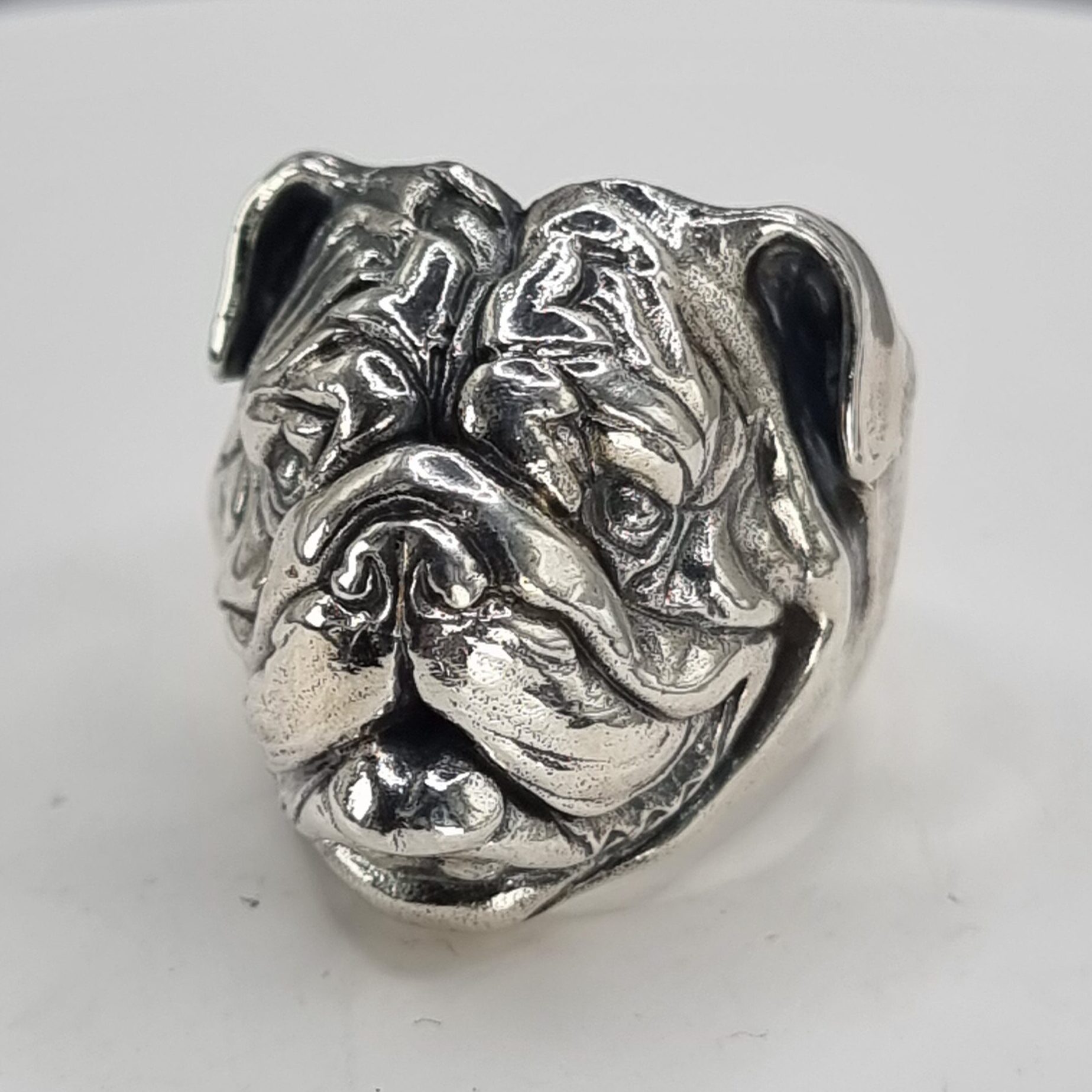 Albert the English Bulldog