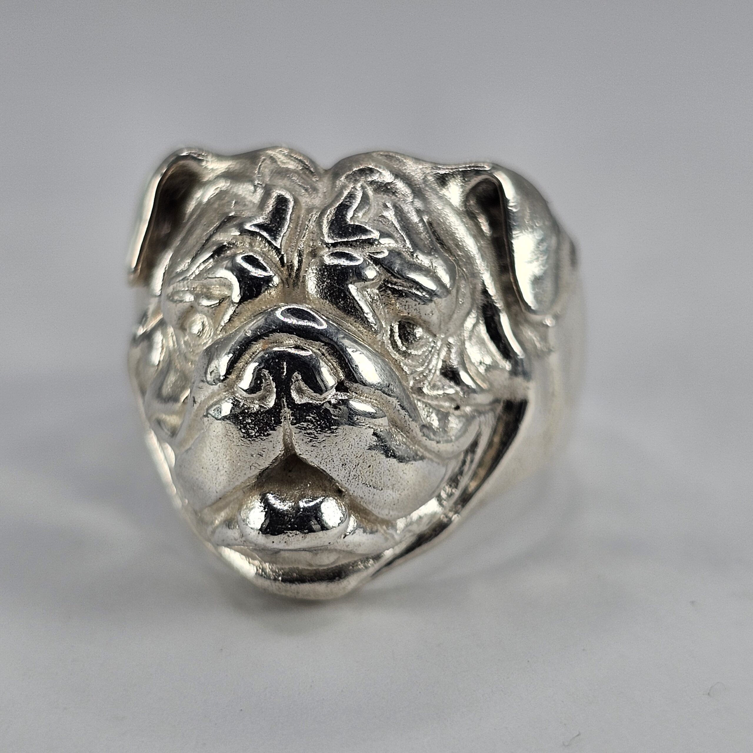 Bertie the Mini English Bulldog