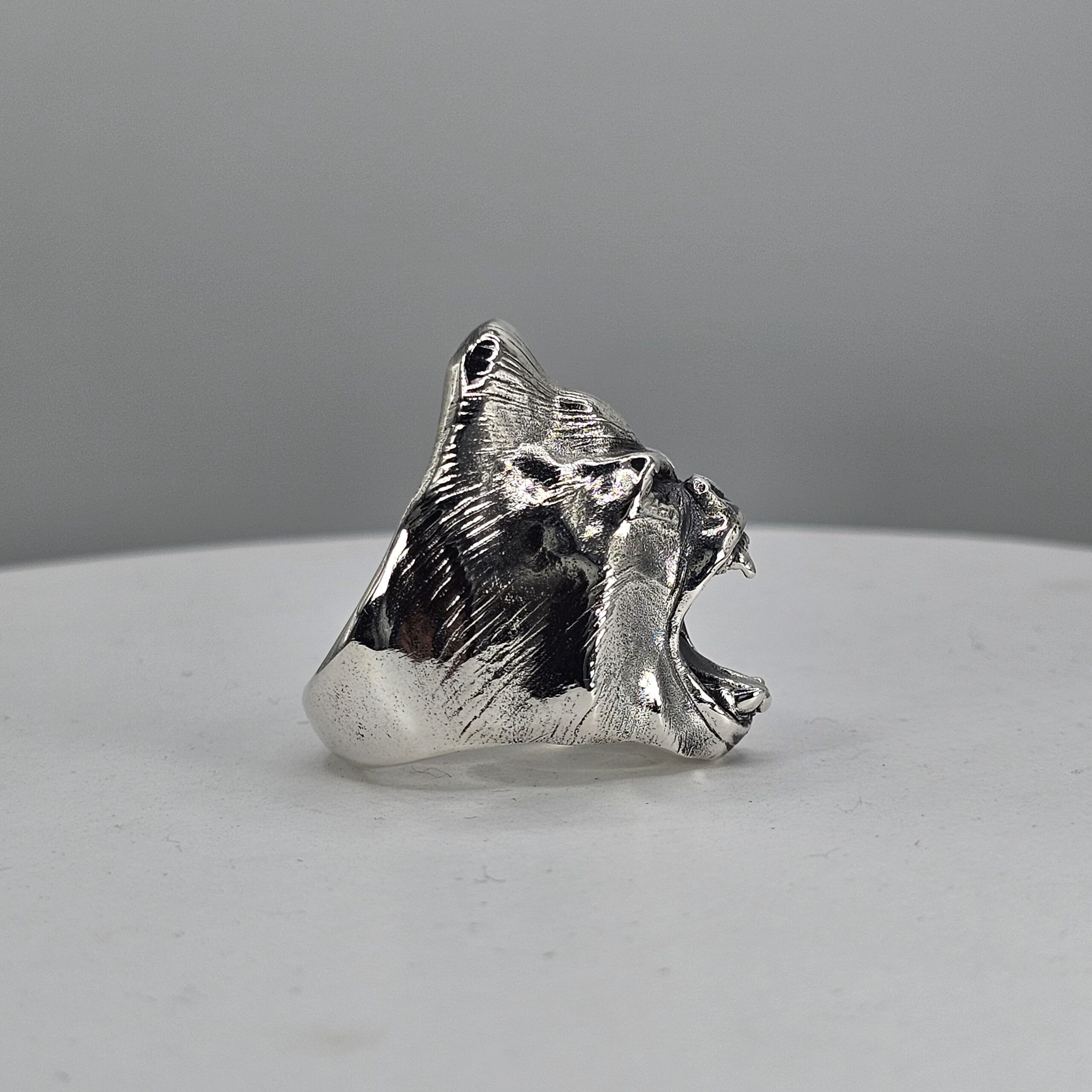 Guy the Gorilla - Image 3