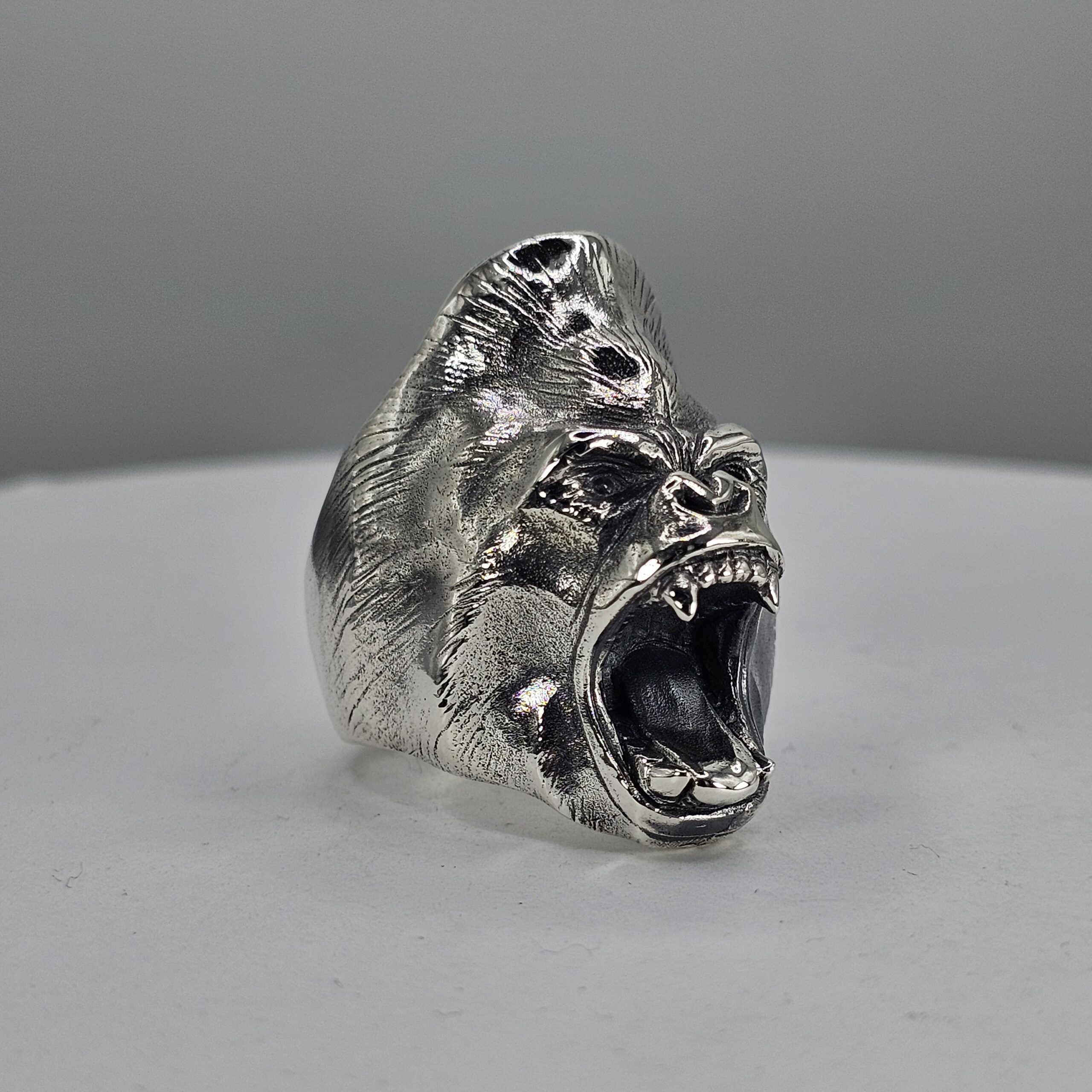 Guy the Gorilla - Image 2