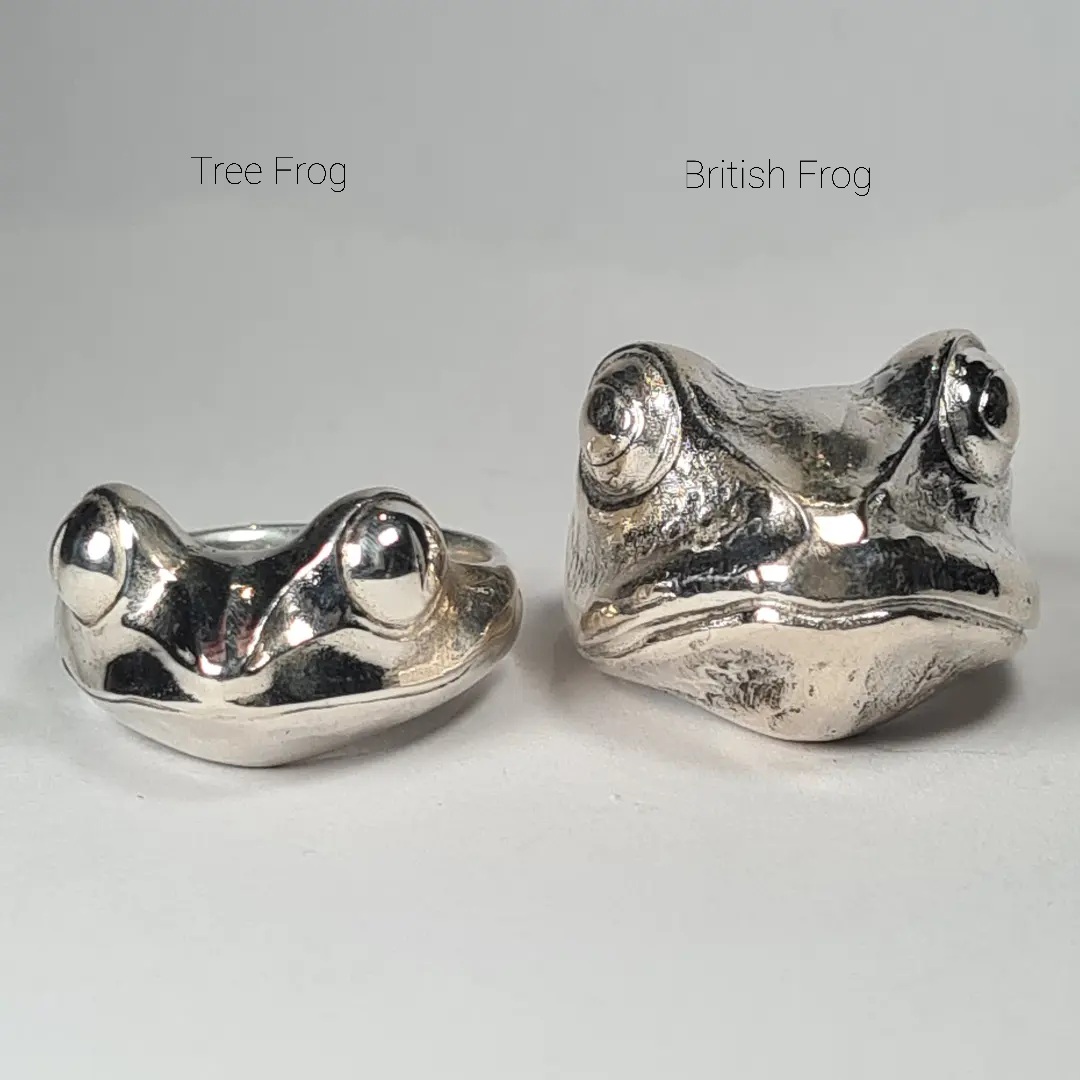 Tree Frog - Image 4