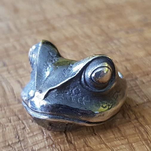 British Frog - Image 4