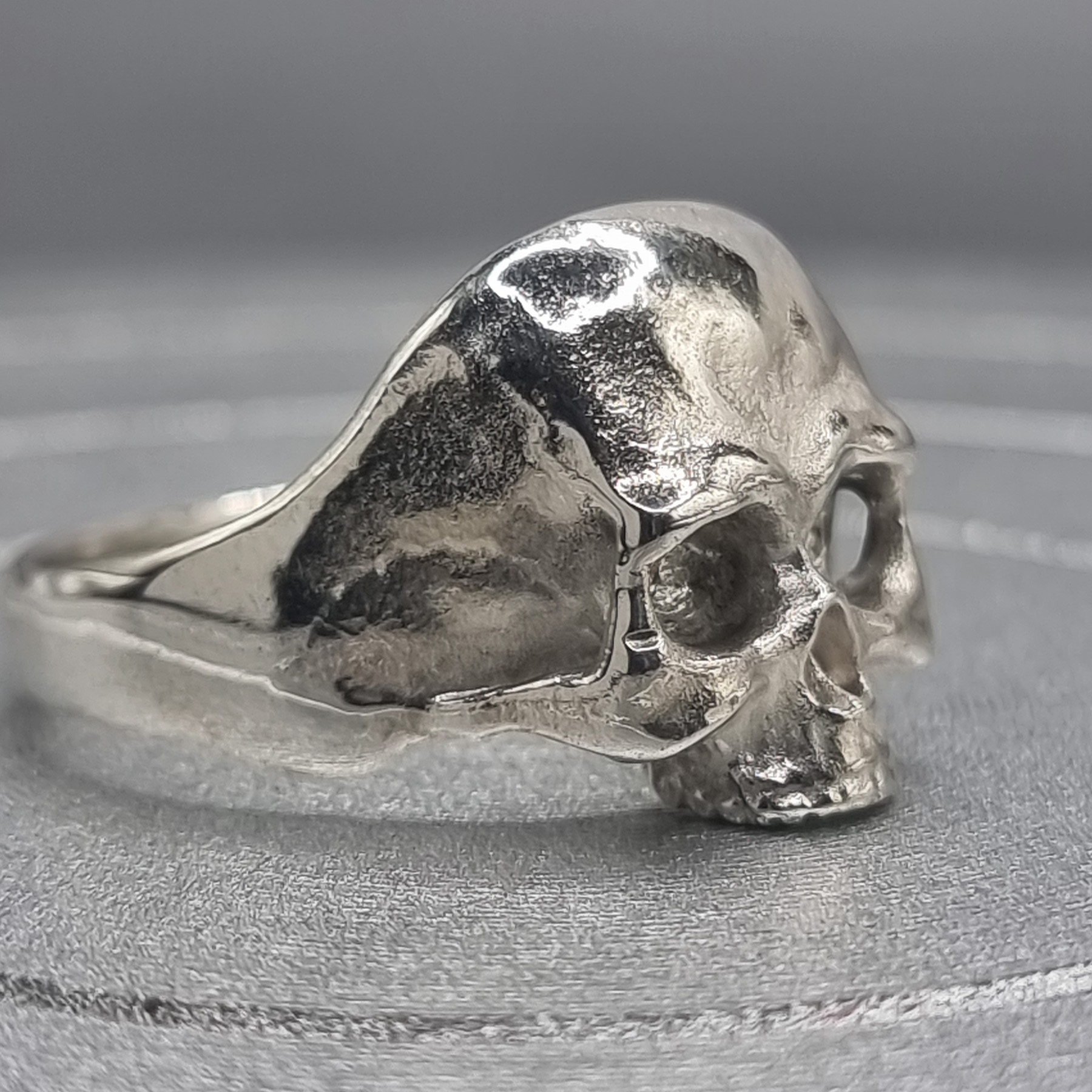 Jawless Skull - Image 3