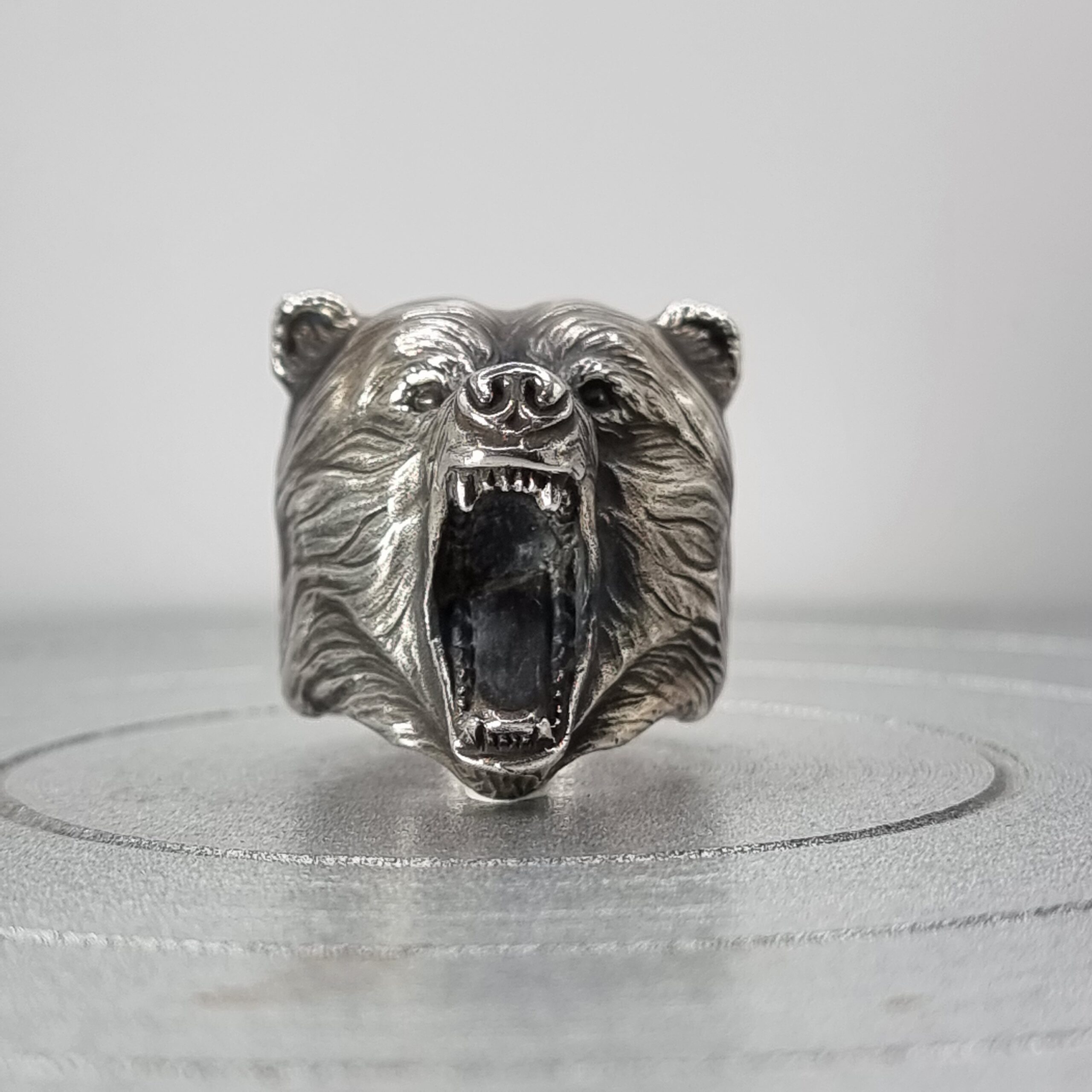 Theodore the Angry Bear - Image 2