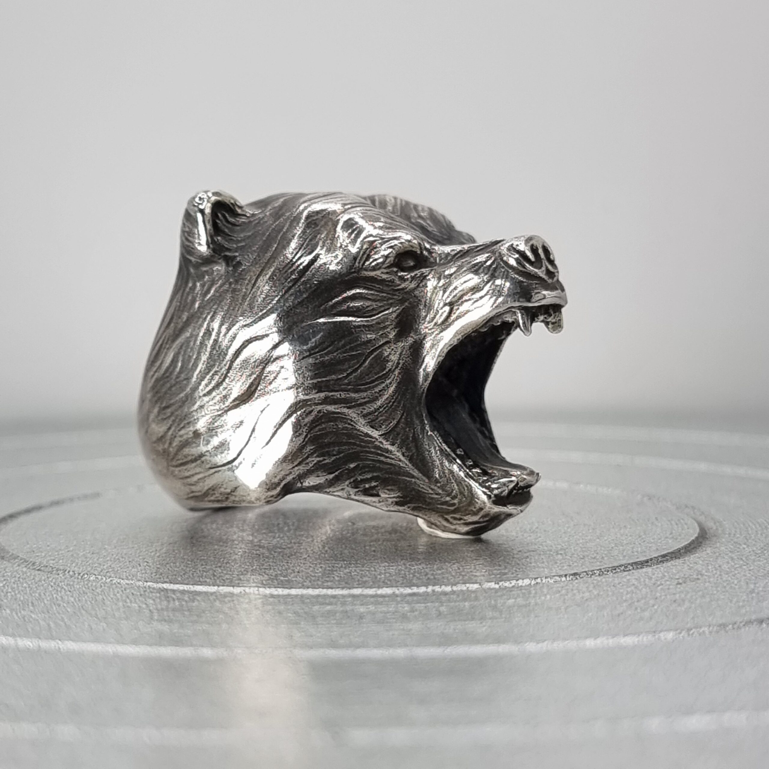Theodore the Angry Bear - Image 4